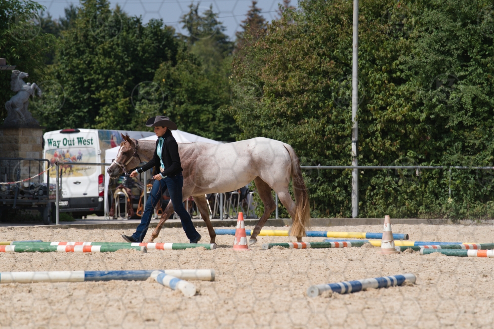 s_batch_A9_00137.jpg